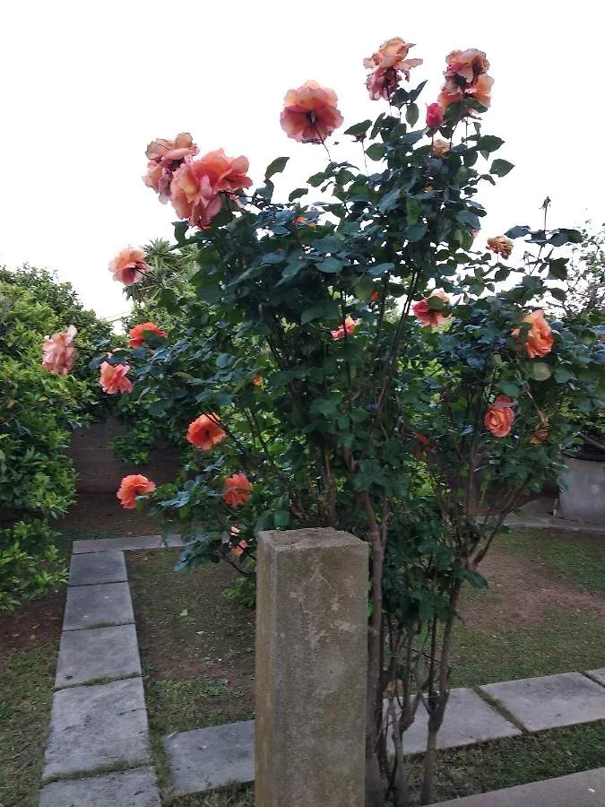 Bed & Breakfast Villa Anna Capoterra